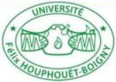 Université Félix Houphouët Boigny (UFHB)